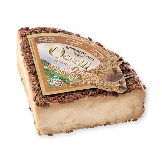 Käse Testun al Whisky, eine einzigartige Kreation aus italienischem Käse und Whisky.