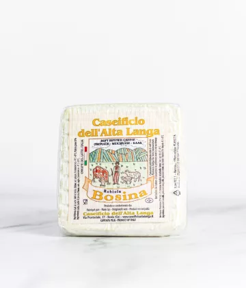 Scheibe Tomme du Pièmont, ein Dreimilchkäse aus dem Piemont. My Little Italy