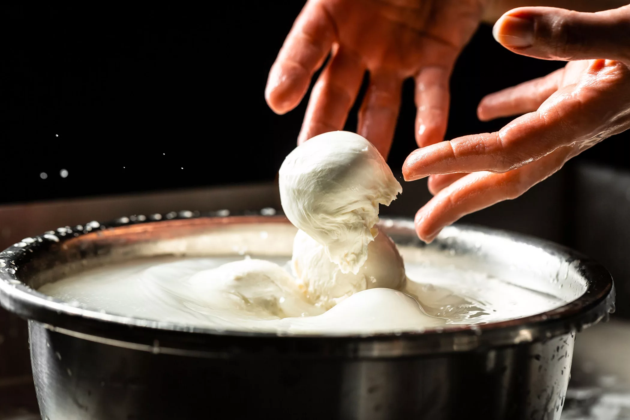 mozzarella en production my little italy