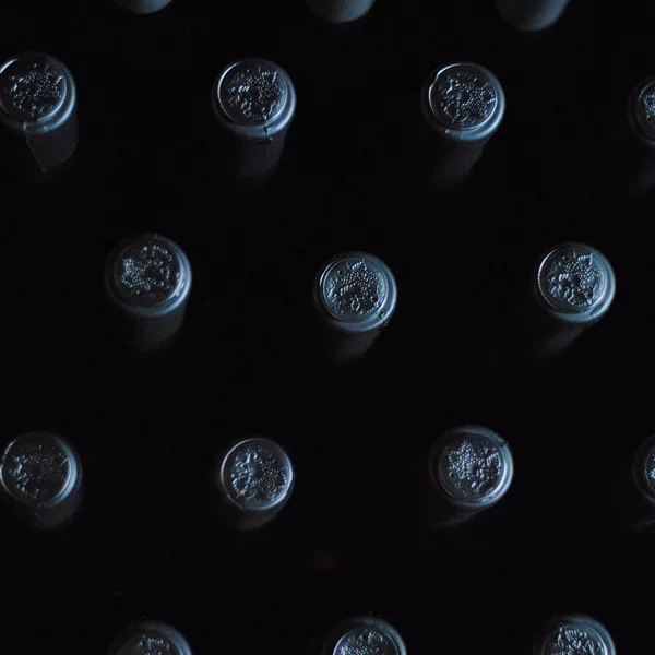 foto di un gruppo di vini italiani in bottiglia