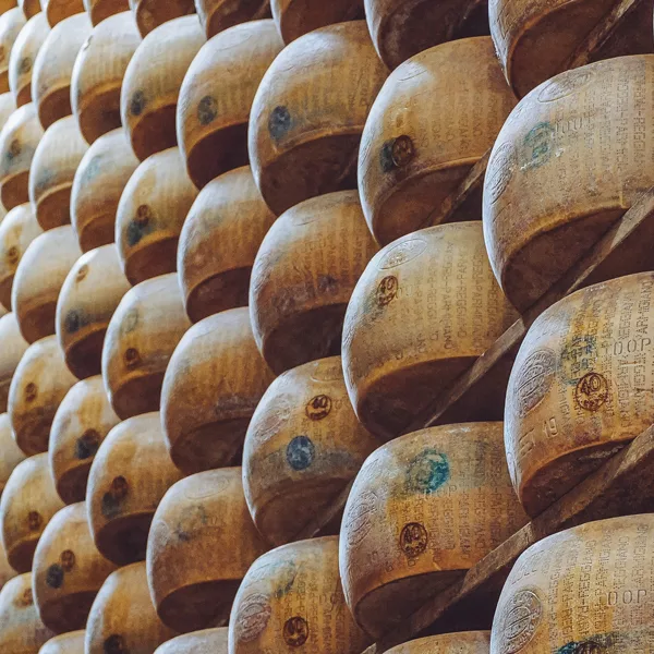 set di formaggi italiani parmigiano reggiano