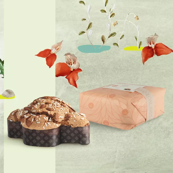 Colomba di Pasqua classica da 750 g presentata con la sua confezione in una decorazione pasquale.