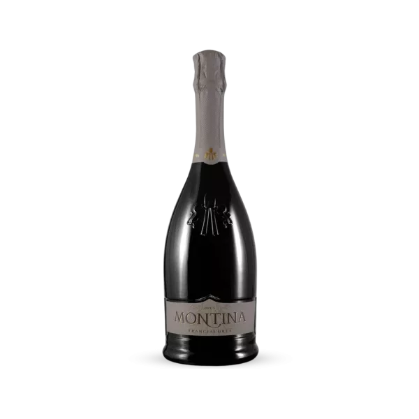Flasche Franciacorta Brut DOCG La Montina, Premium-Schaumwein aus der Lombardei